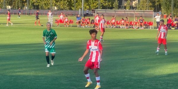 开云官方-揭秘红星启航万“项”更新：一条务实留洋路径的探索